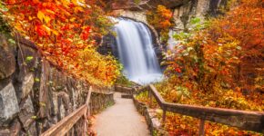 Looking Glass Falls - Pisgah Forest