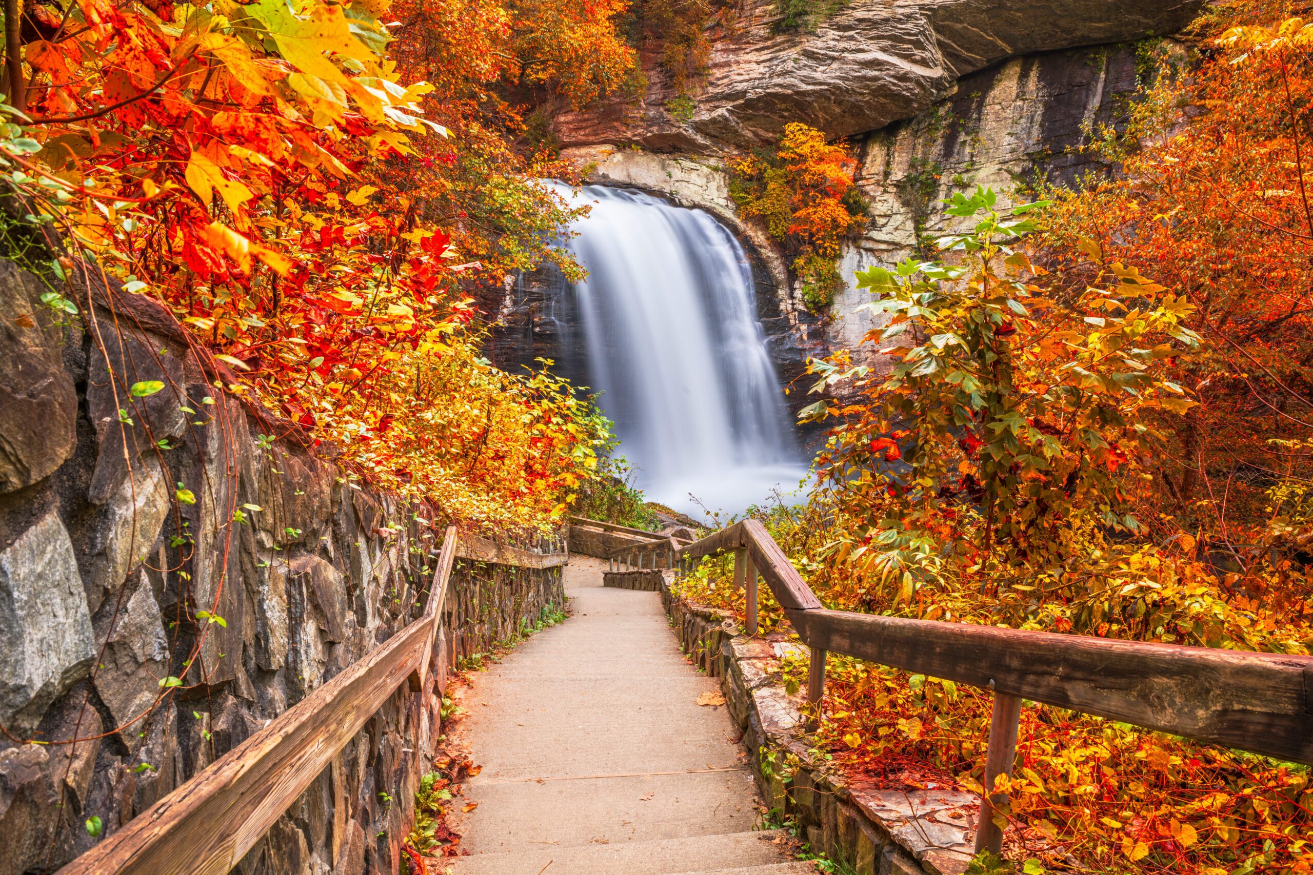 Looking Glass Falls - Pisgah Forest