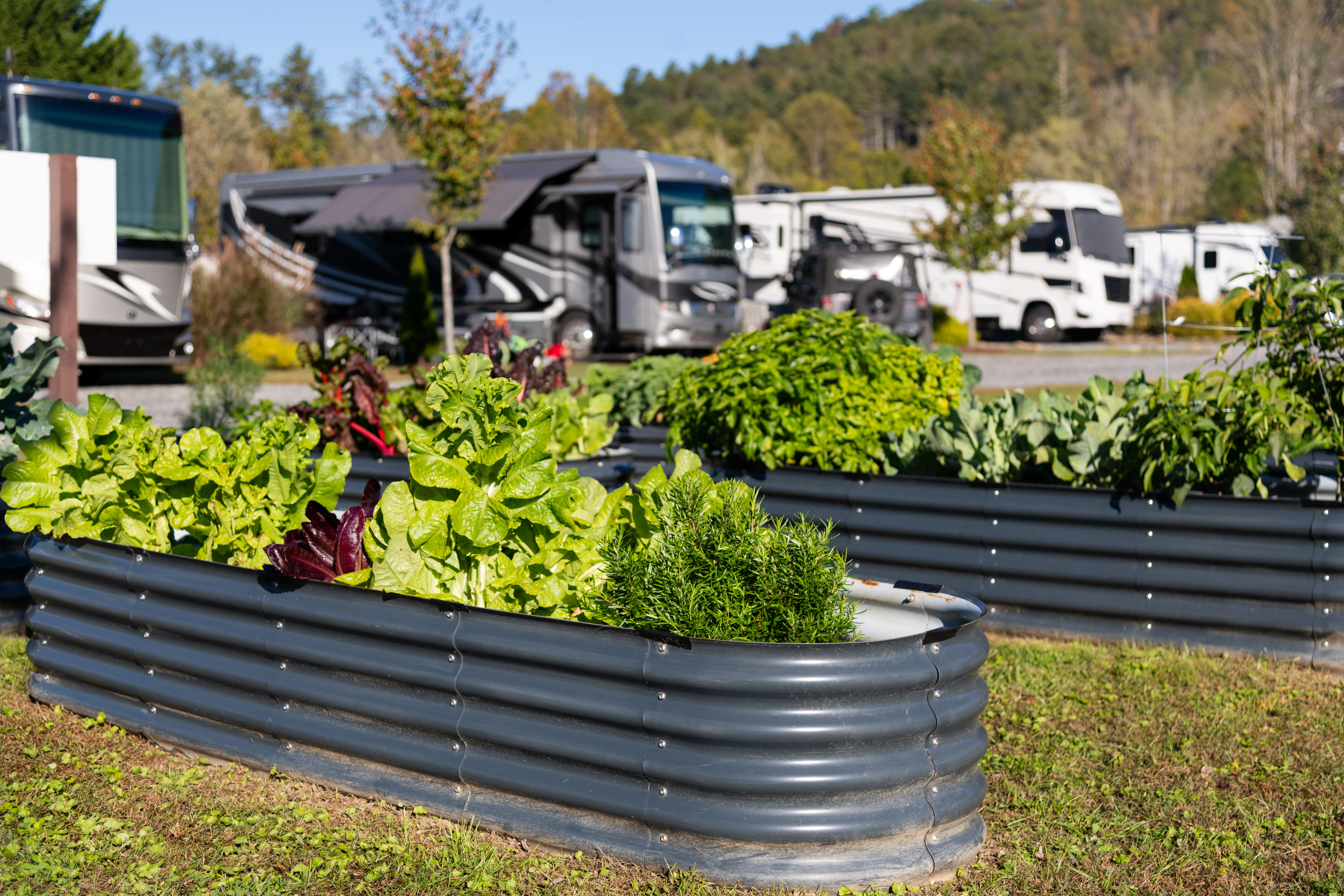 Pisgah Forest RV Park & Campground